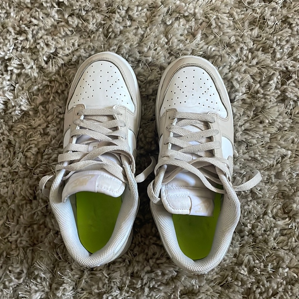 Dunk Low Next Nature